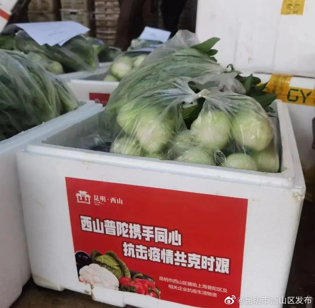 昆明市西山区发布