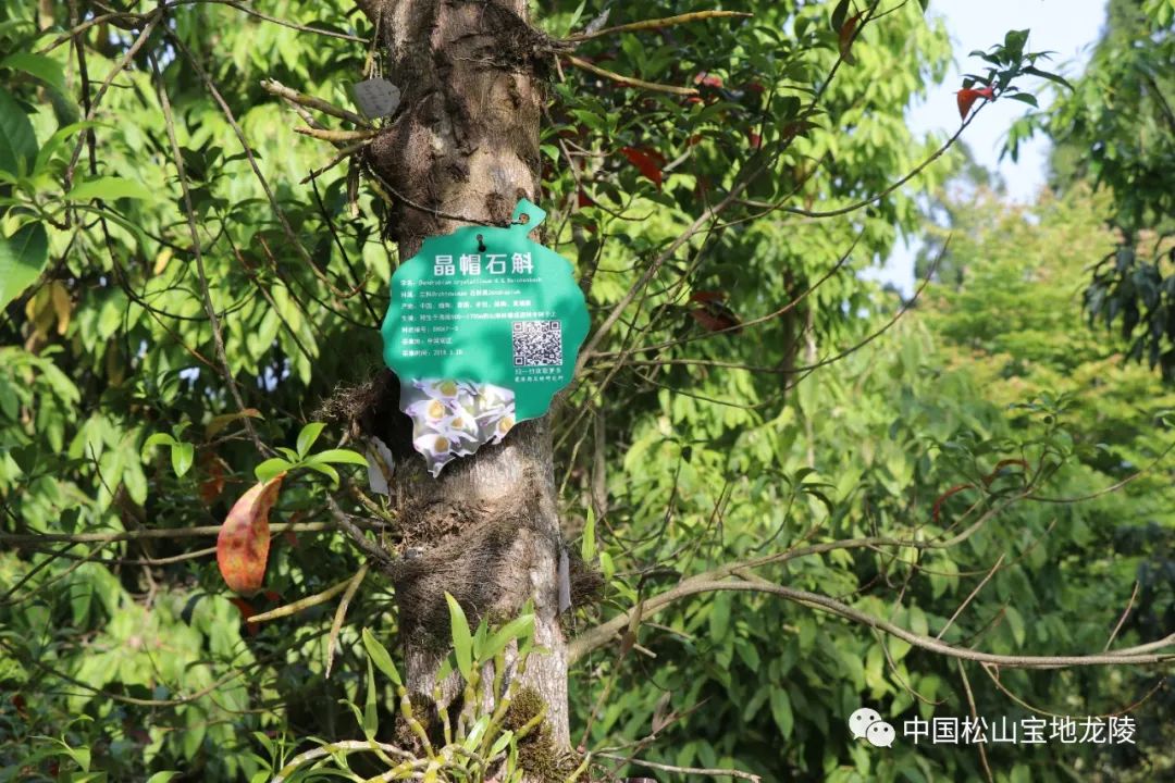 保山新闻网