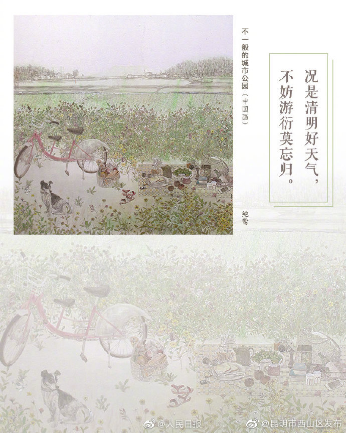 昆明市西山区发布