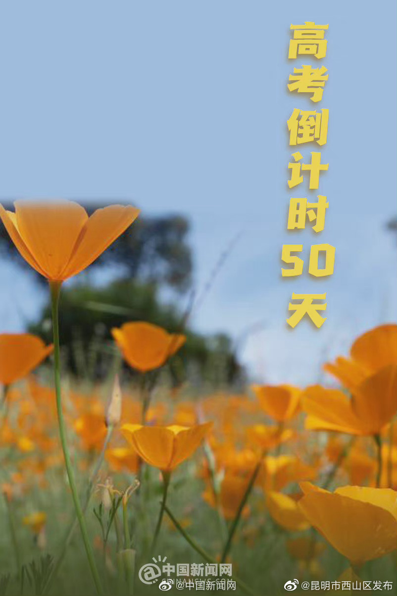 昆明市西山区发布