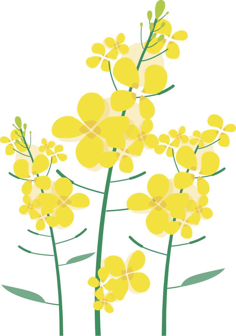 云南野生动物园