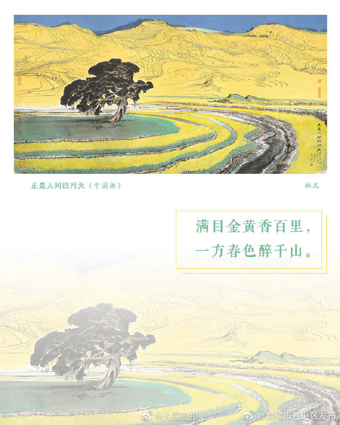 昆明市西山区发布