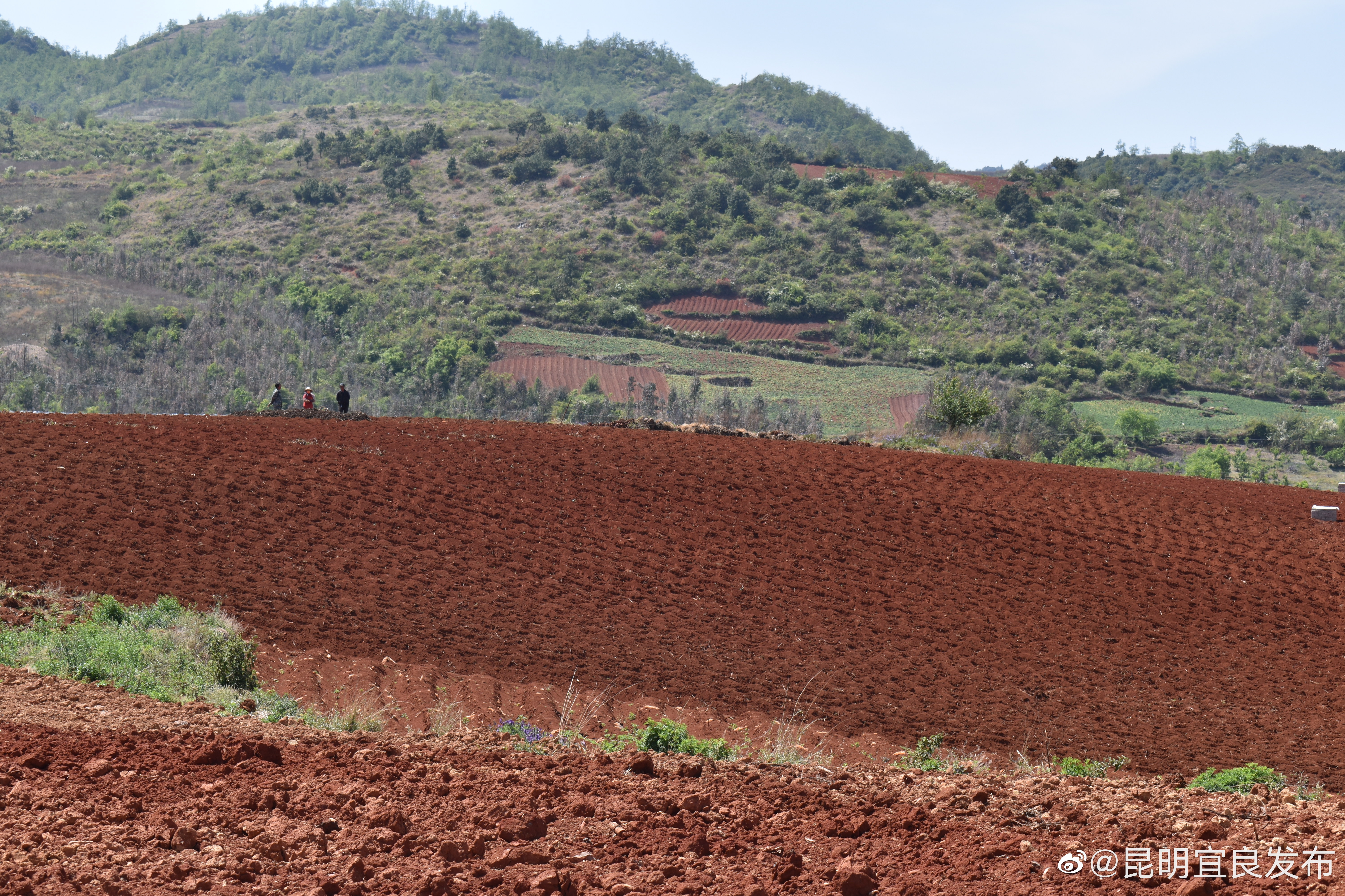 “昆明宜良发布”微博