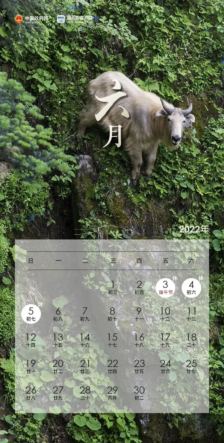 掌上春城微信公众号