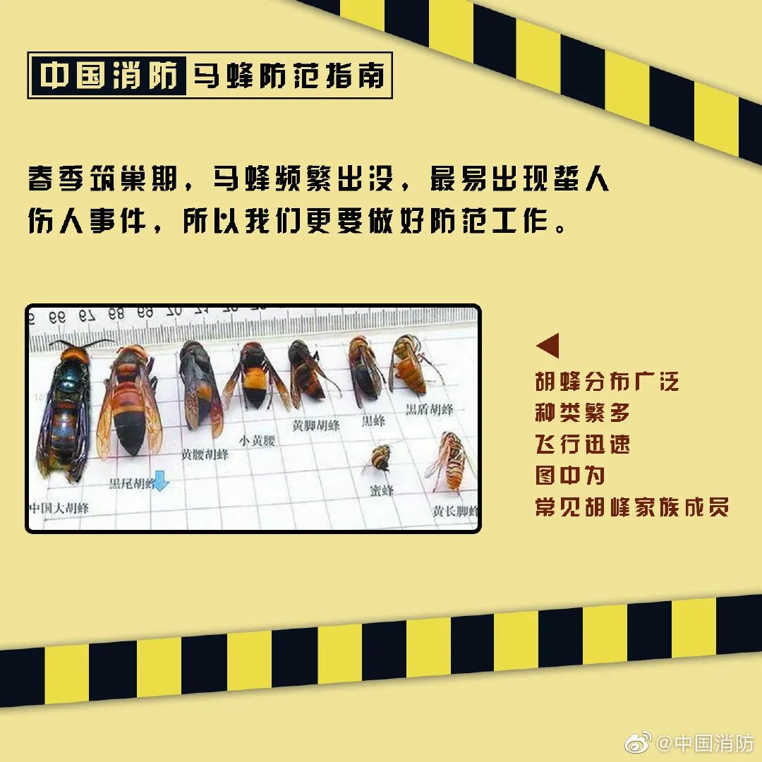 昆明信息港/cnkmxxg