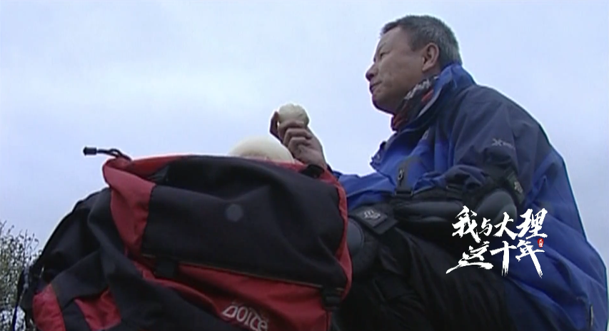 大理电视台