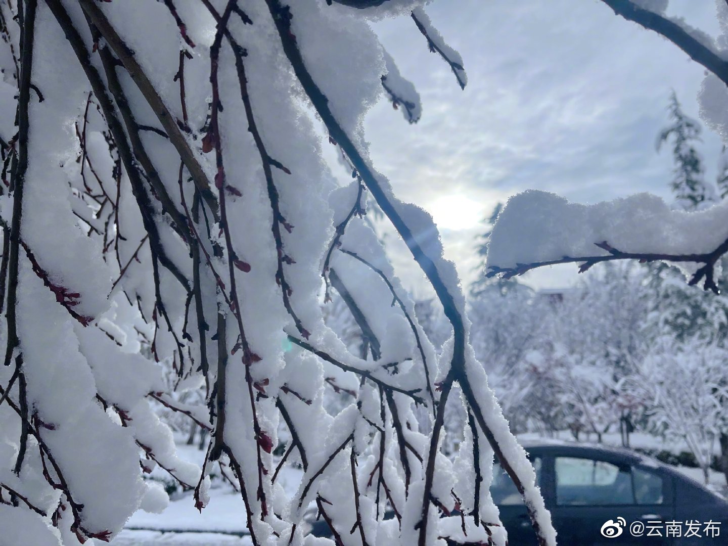 “云南发布”微博