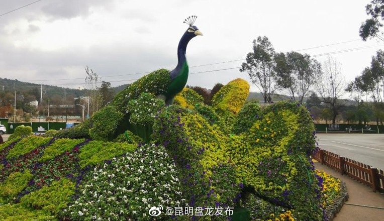昆明盘龙发布