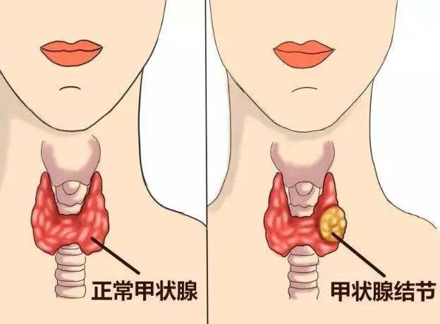 云南省中医医院