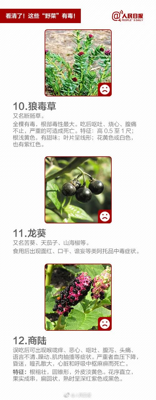 美丽云南微科普