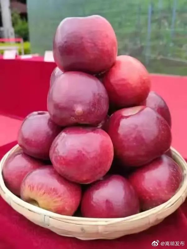嵩明发布