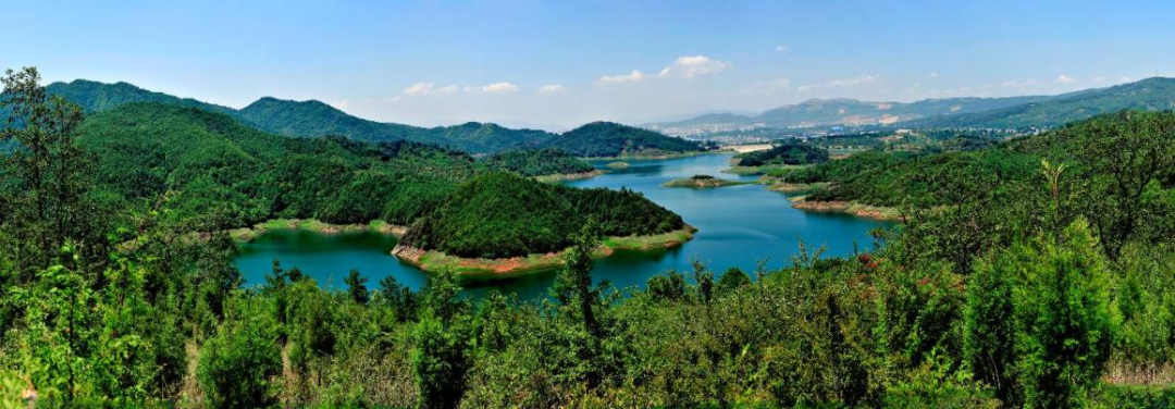 云南省人民政府网