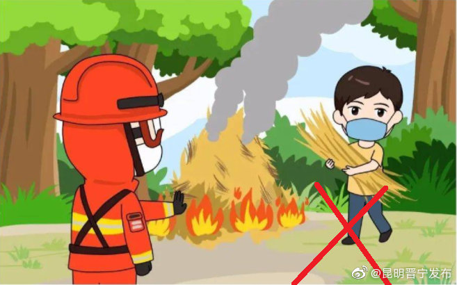 教训深刻：烧杂草引发森林火灾，获刑罚！