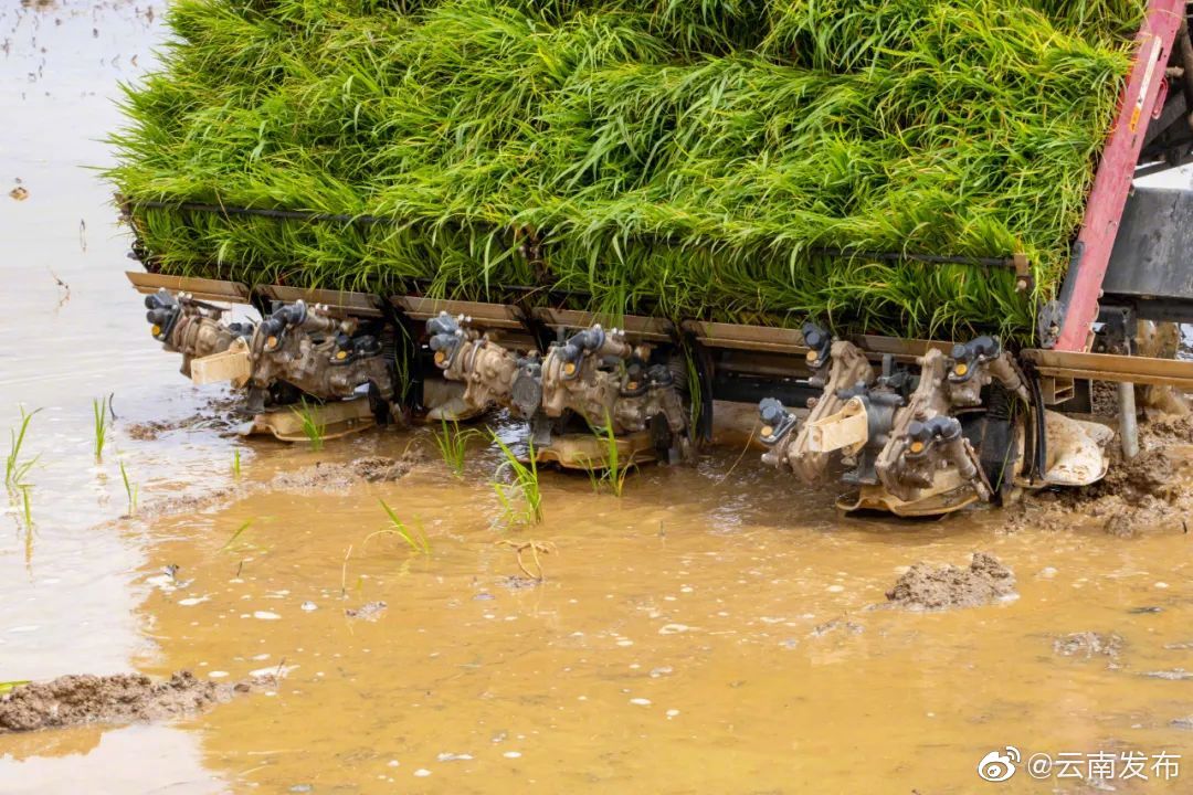 “云南发布”微博