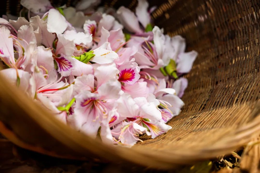 云南省文化和旅游厅