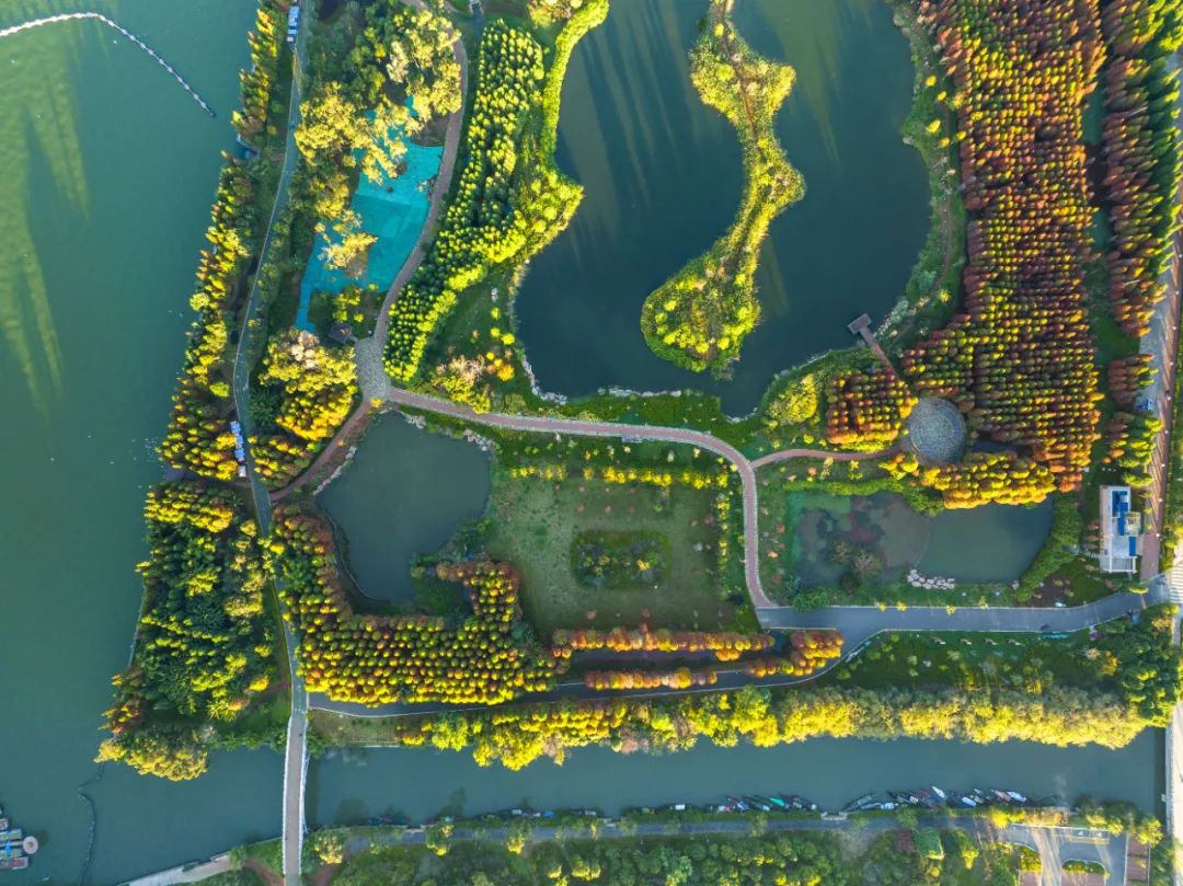 掌上春城微信公众号