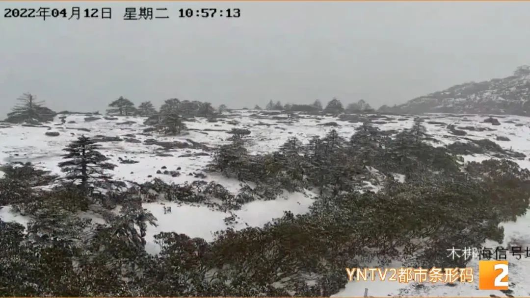 掌上春城微信公众号