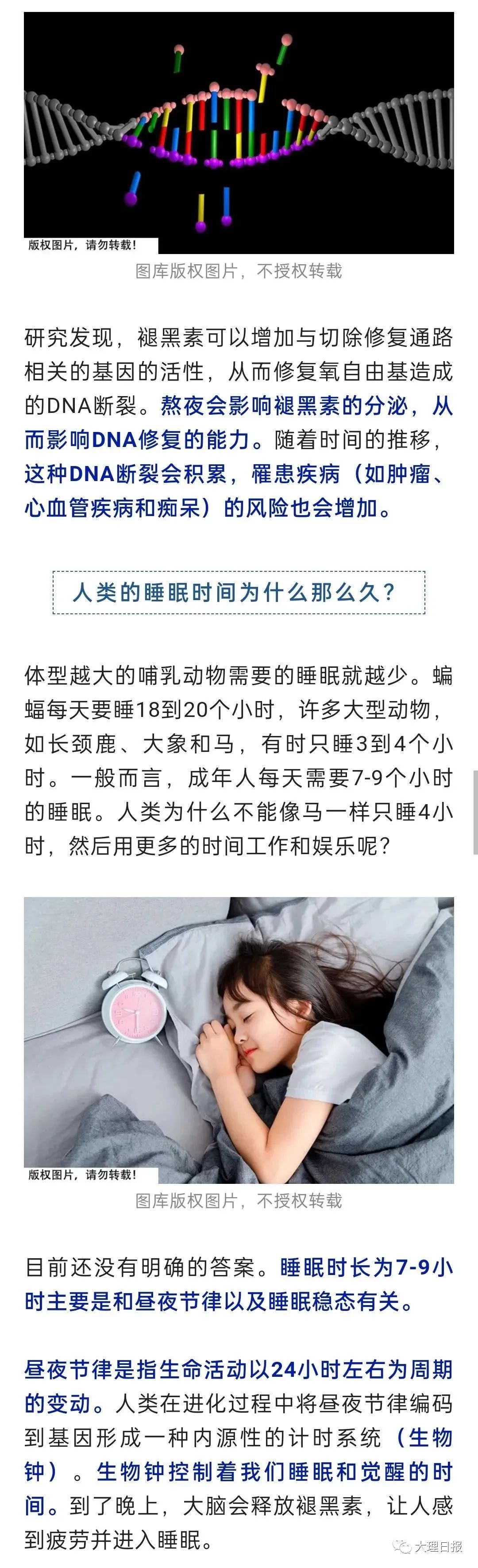 大理日报