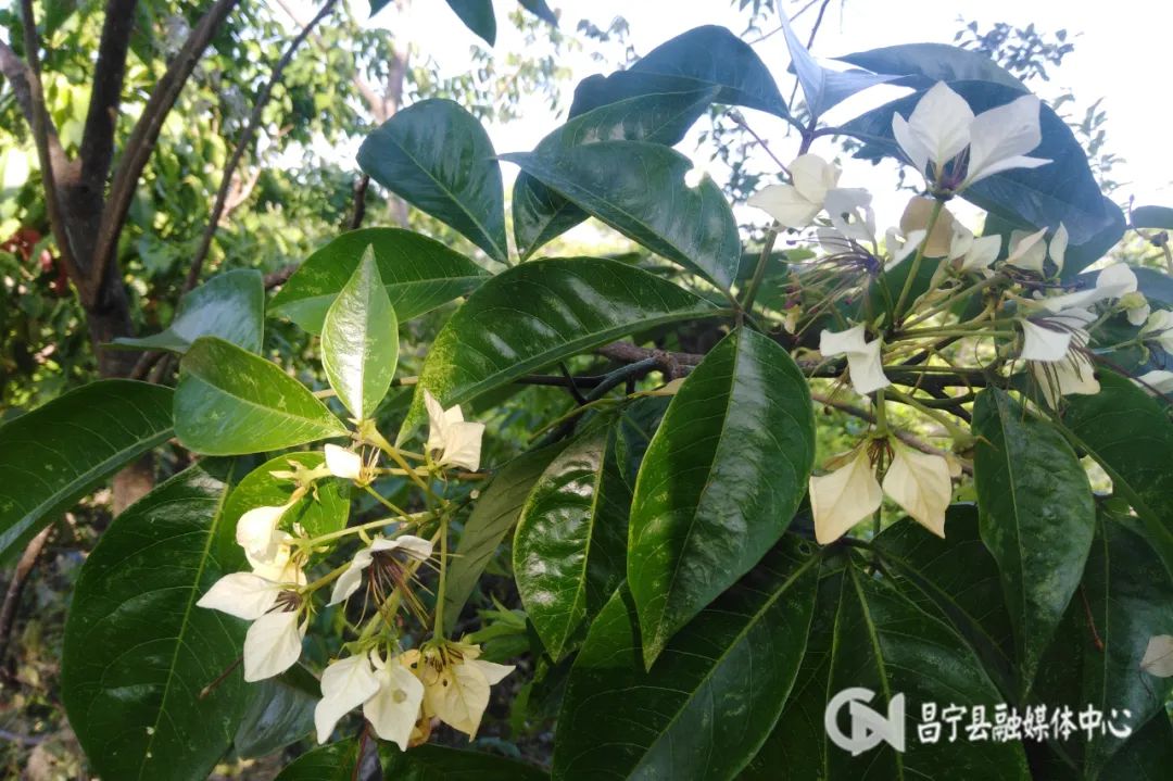 保山新闻网