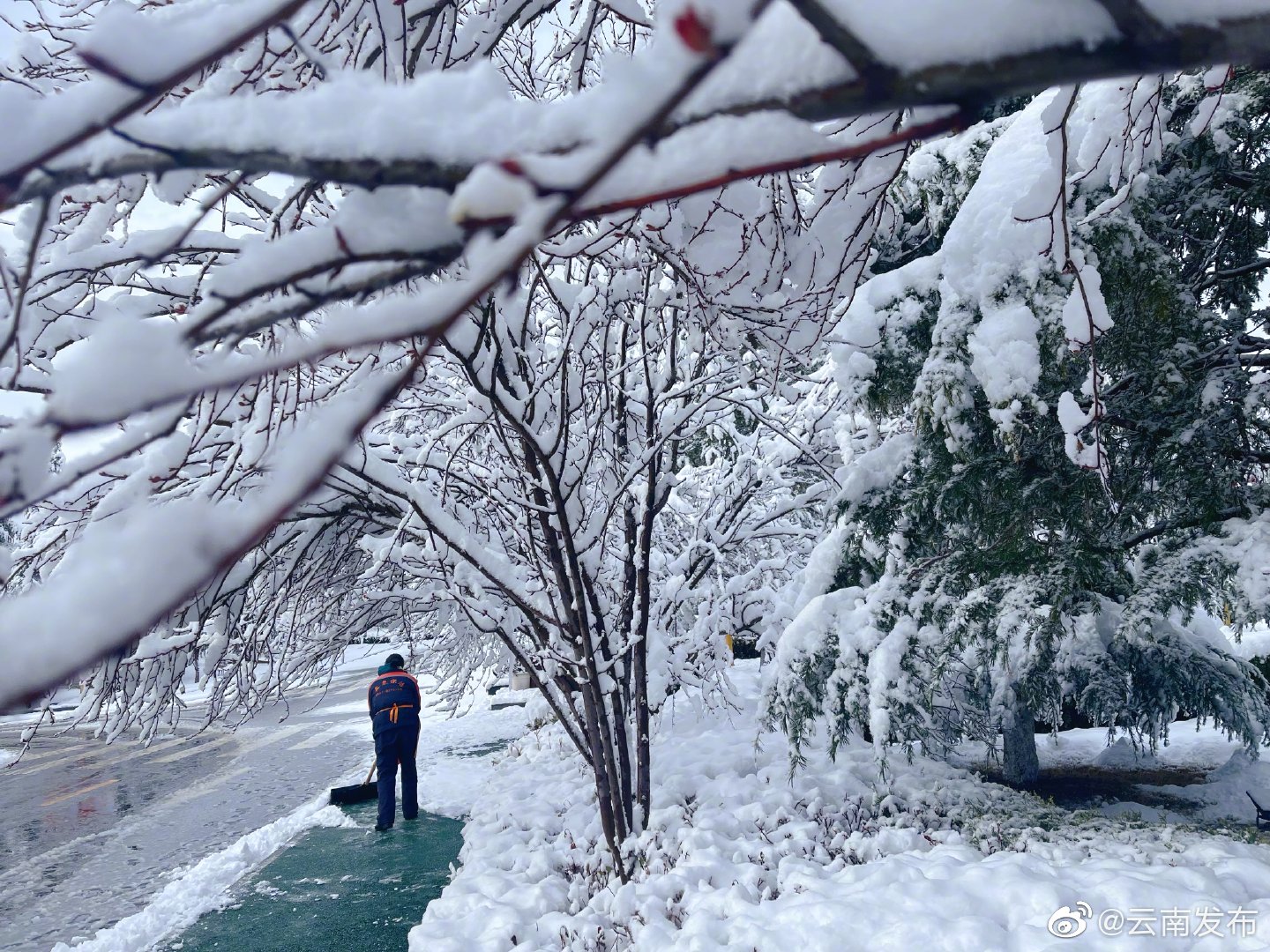 “云南发布”微博