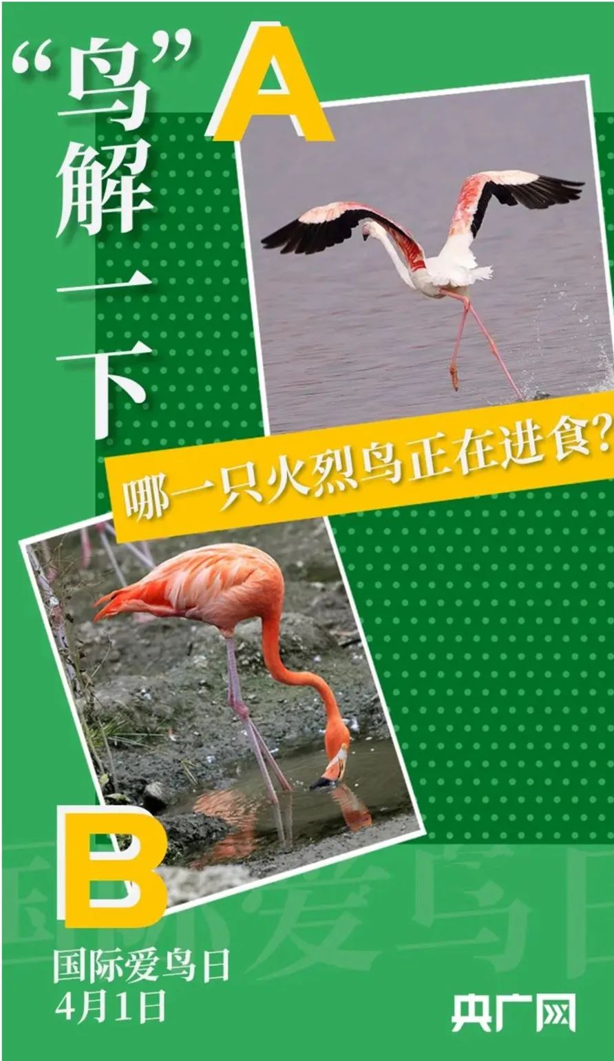 美丽云南微科普