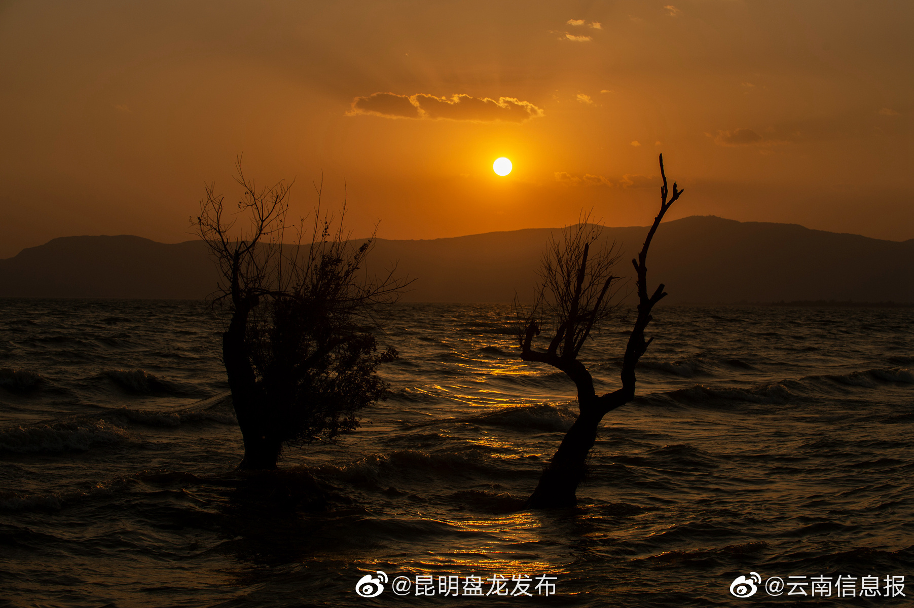 昆明盘龙发布