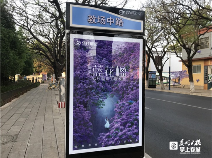 昆明信息港/cnkmxxg