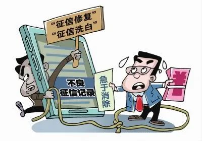 云南法制报