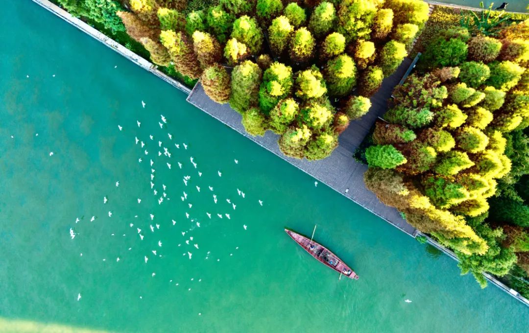 掌上春城微信公众号