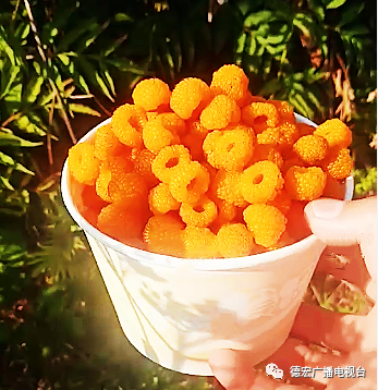 德宏广播电视台