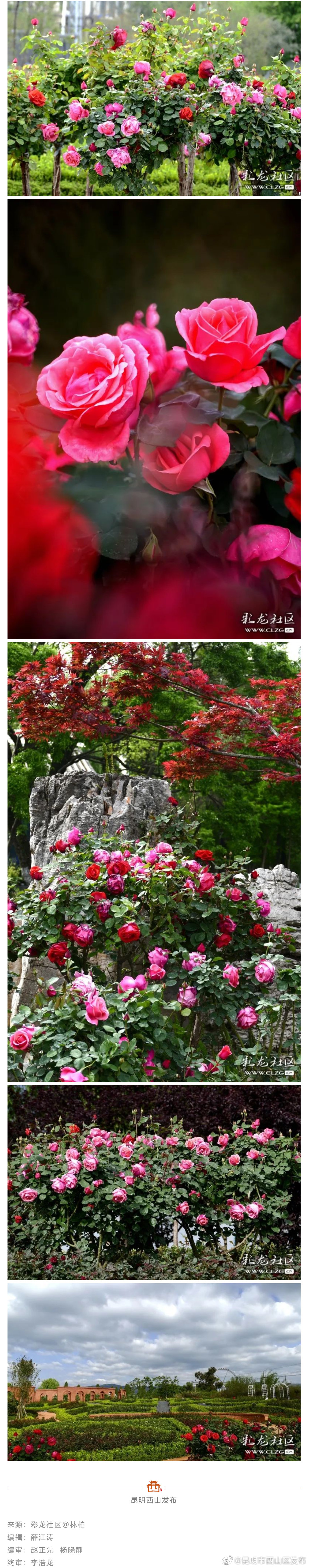 昆明市西山区发布