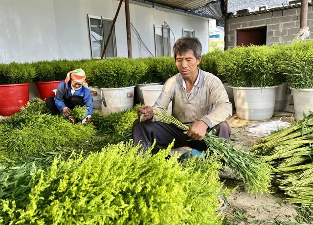 玉溪发布