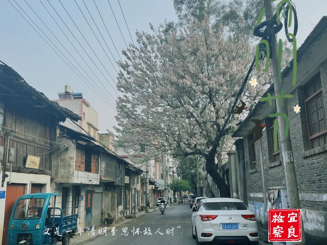 宜良检察(微信)