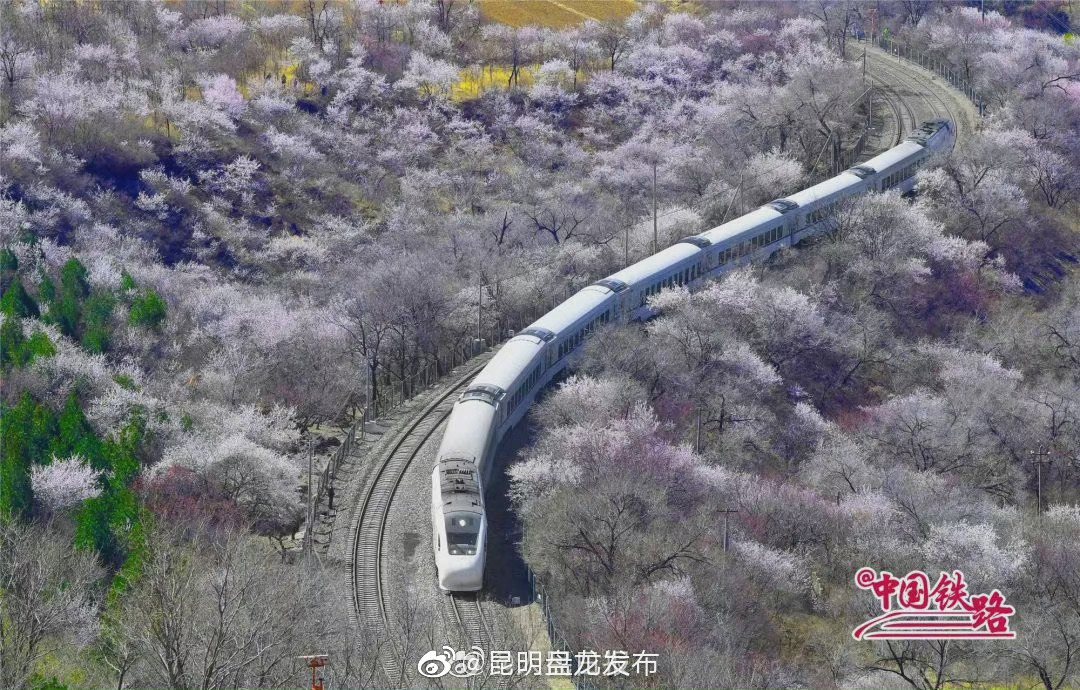 昆明盘龙发布