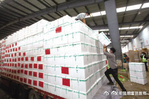 昆明市总工会筹集100吨爱心蔬菜送往上海