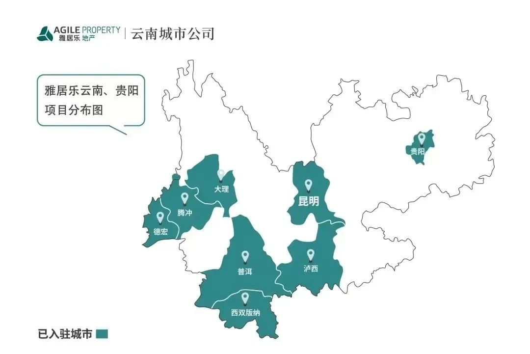 大理日报