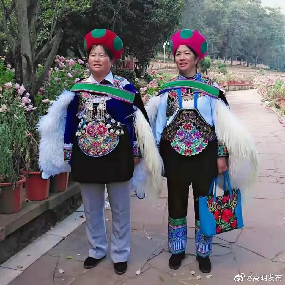嵩明发布