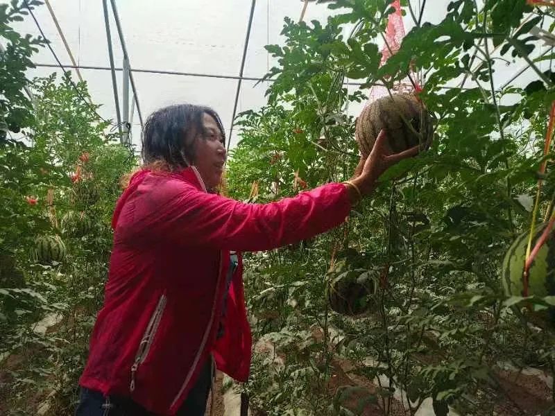 东川发布(微信)