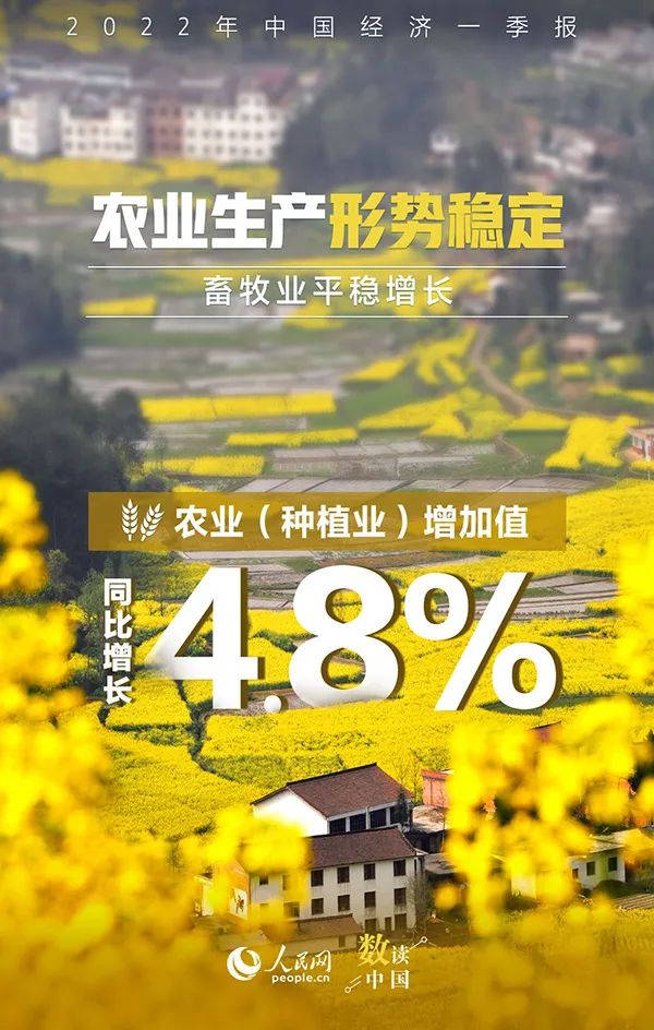 玉溪发布