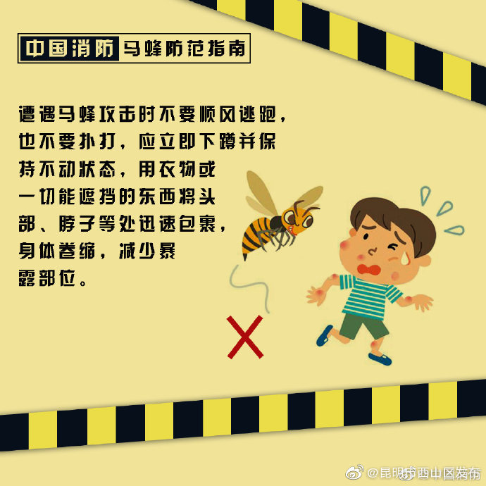 昆明市西山区发布