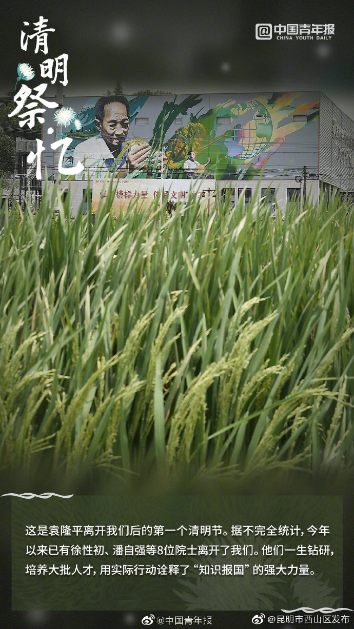 昆明市西山区发布