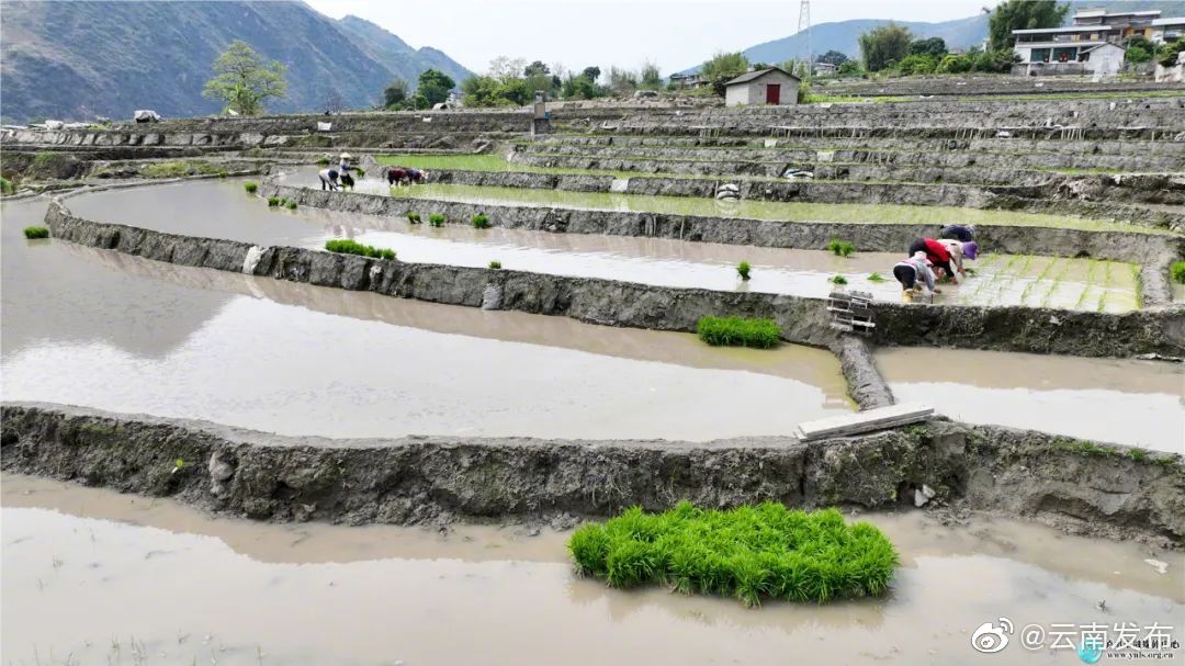 “云南发布”微博