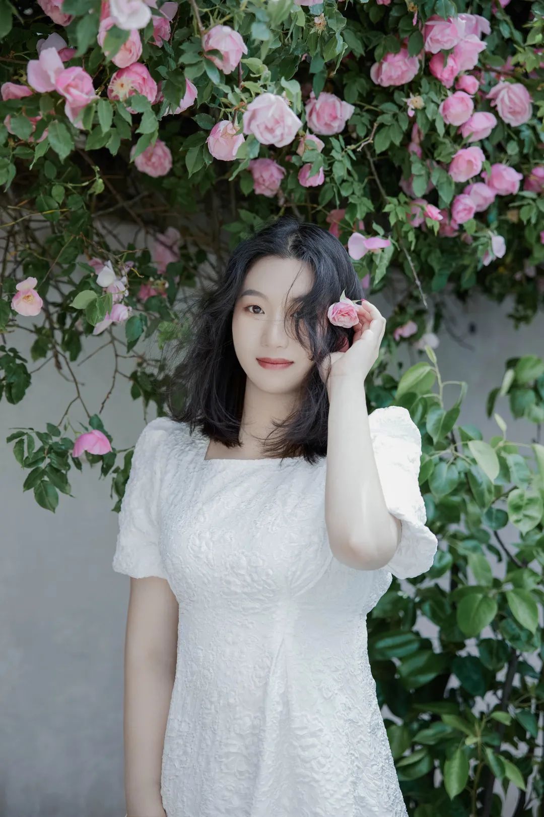 微丽江