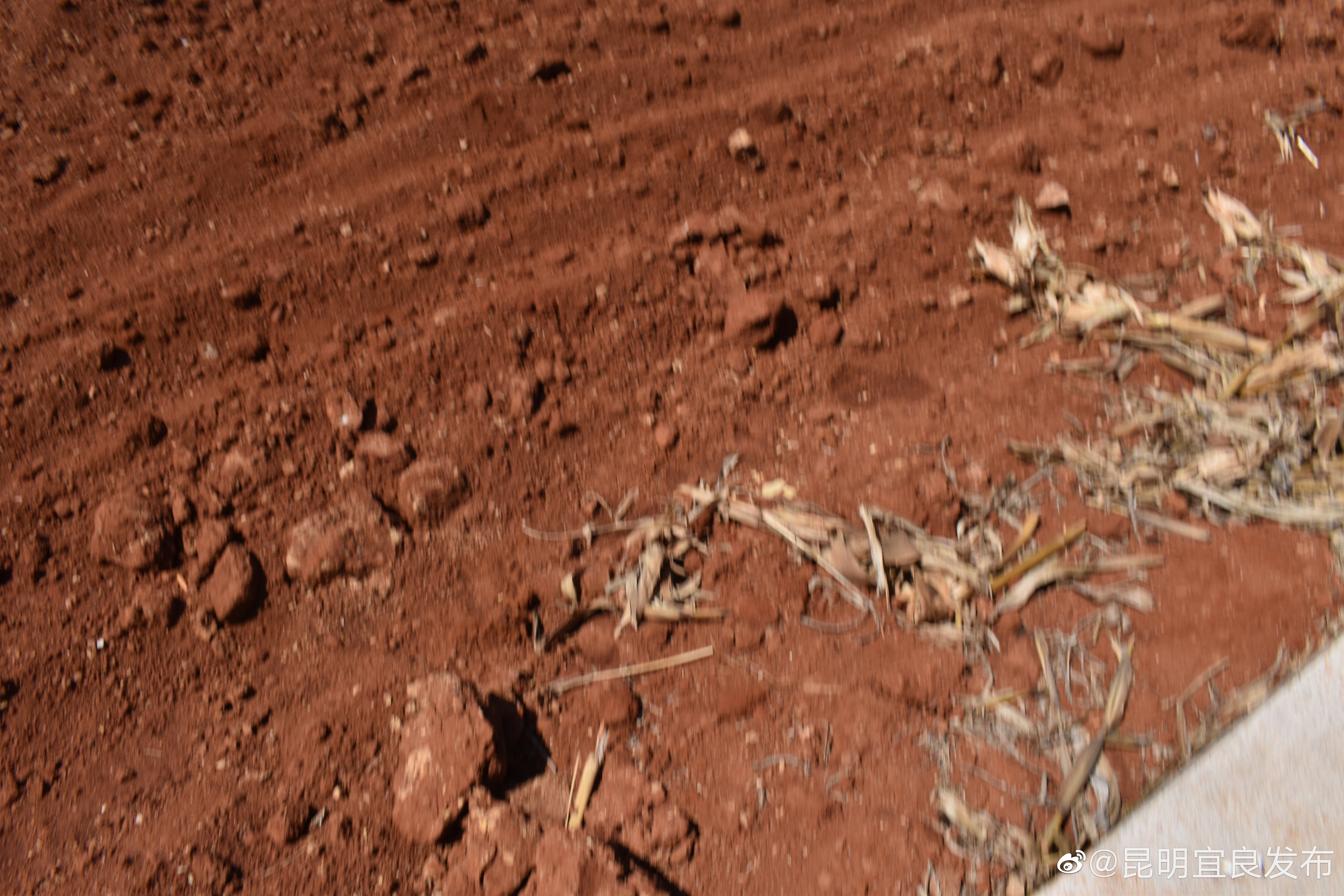 “昆明宜良发布”微博