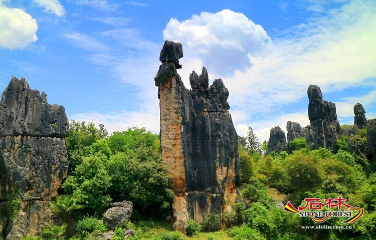 石林旅游网