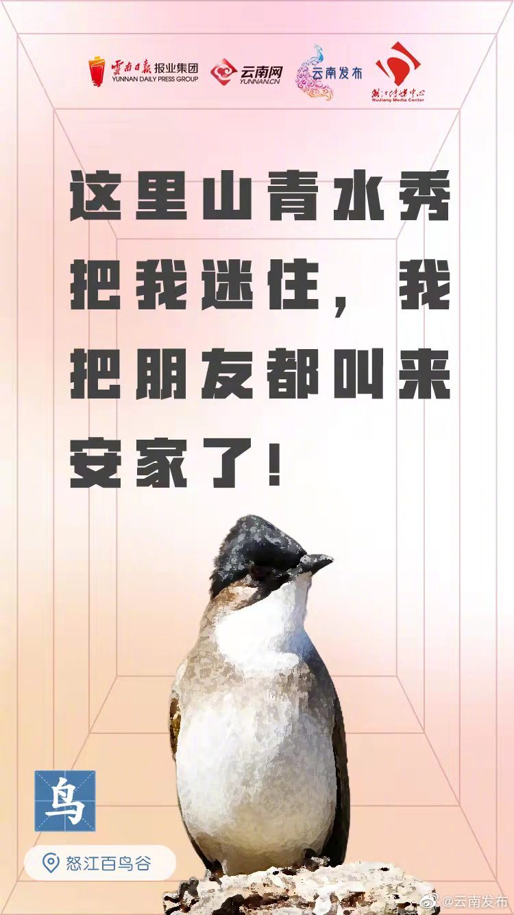 “云南发布”微博