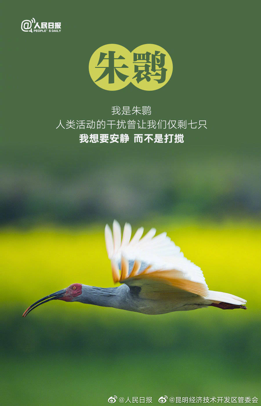 昆明经济技术开发区管委会