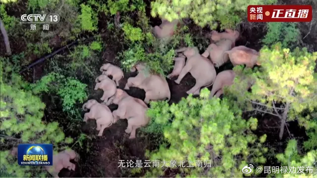 昆明禄劝发布