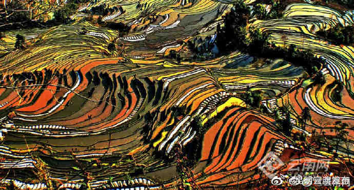 “昆明官渡发布”微博