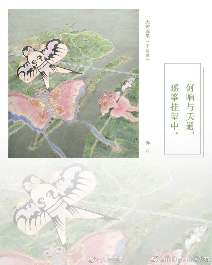 昆明市西山区发布